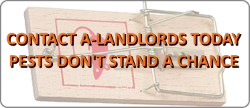 A-Landlords Contact Button