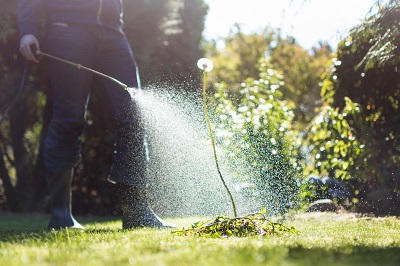 Weed Management in Milwaukee