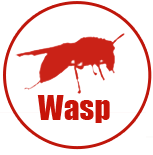 Wasp